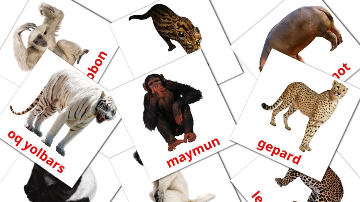 Карточки Домана животные Африки