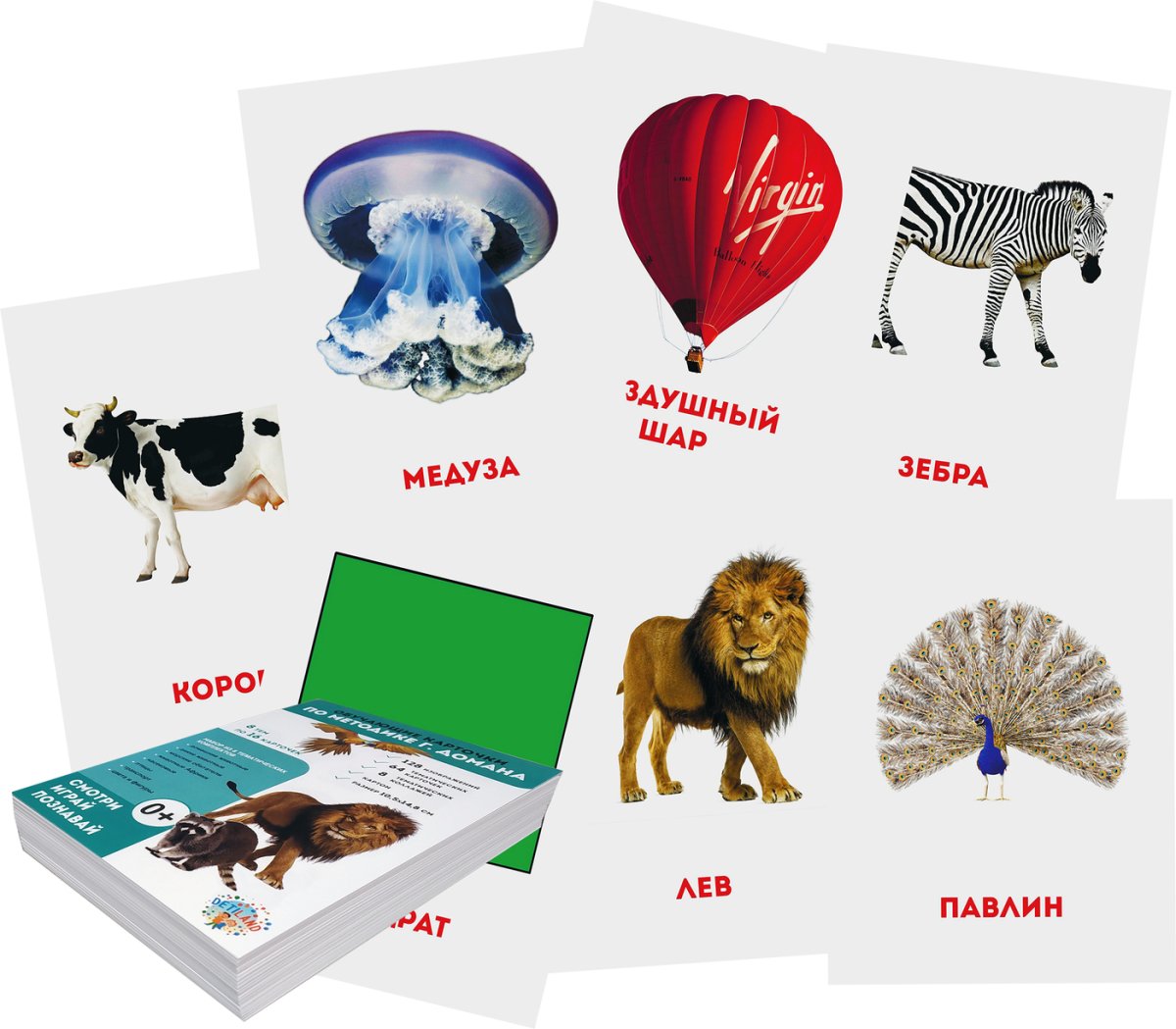 Обучающие карточки по методике г. Домана "лошади"