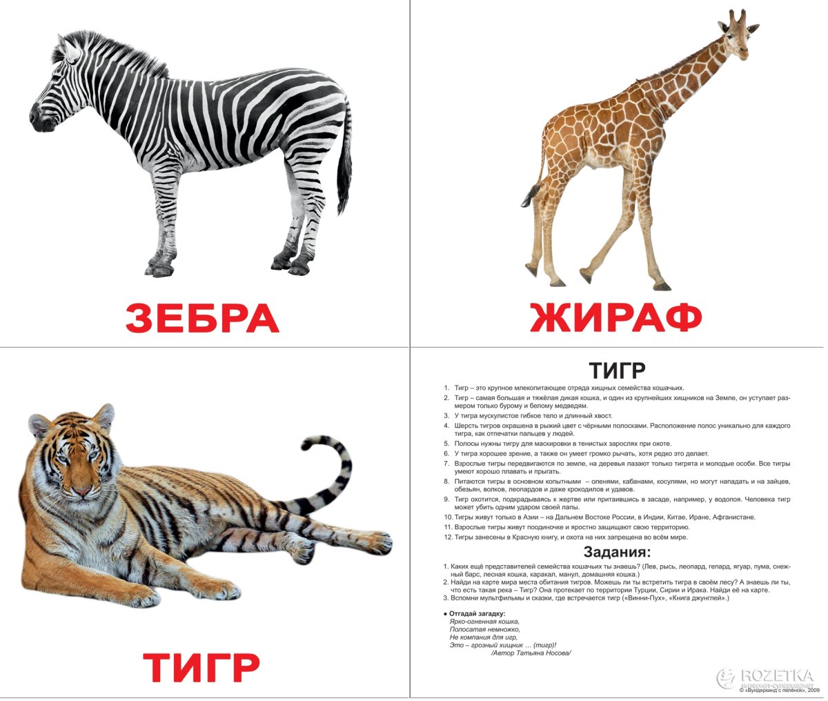 Вундеркинд с пеленок Дикие животные