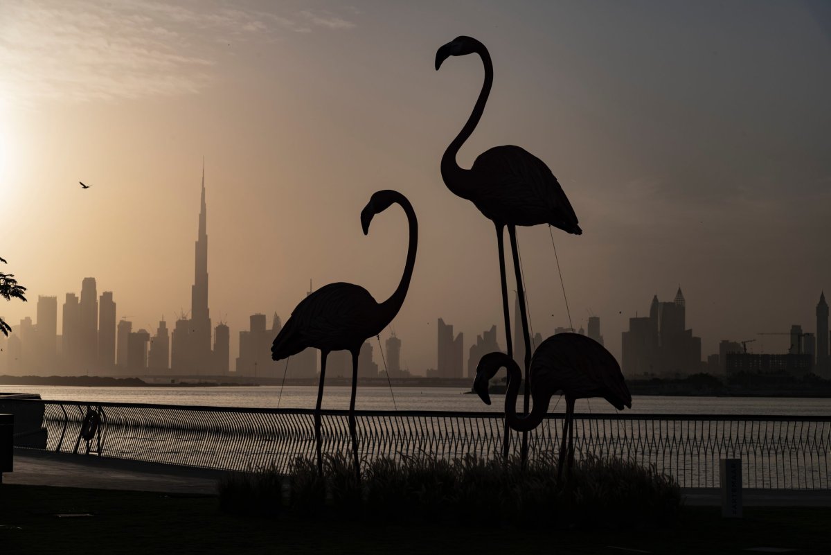 Dubai Creek Harbour Фламинго