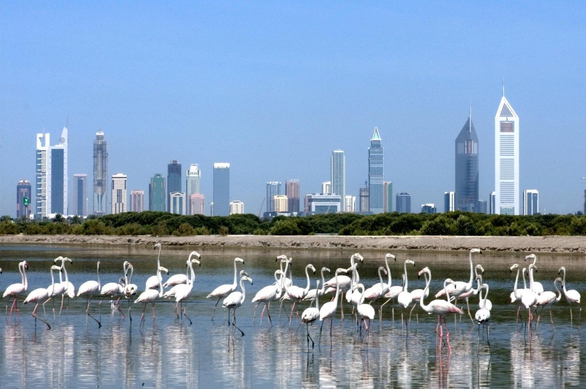 Ras al Khor Wildlife Sanctuary