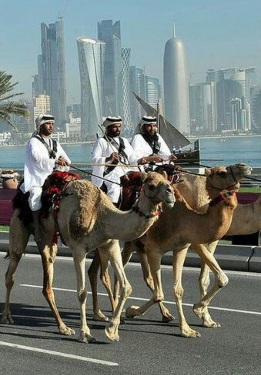 Араб на верблюде