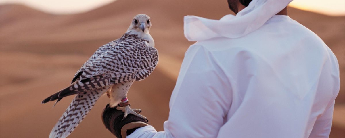 Соколиная охота Абу Даби