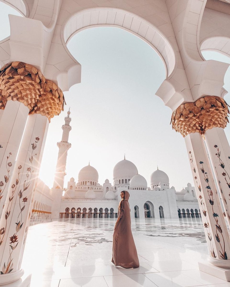 Птицы в дубае