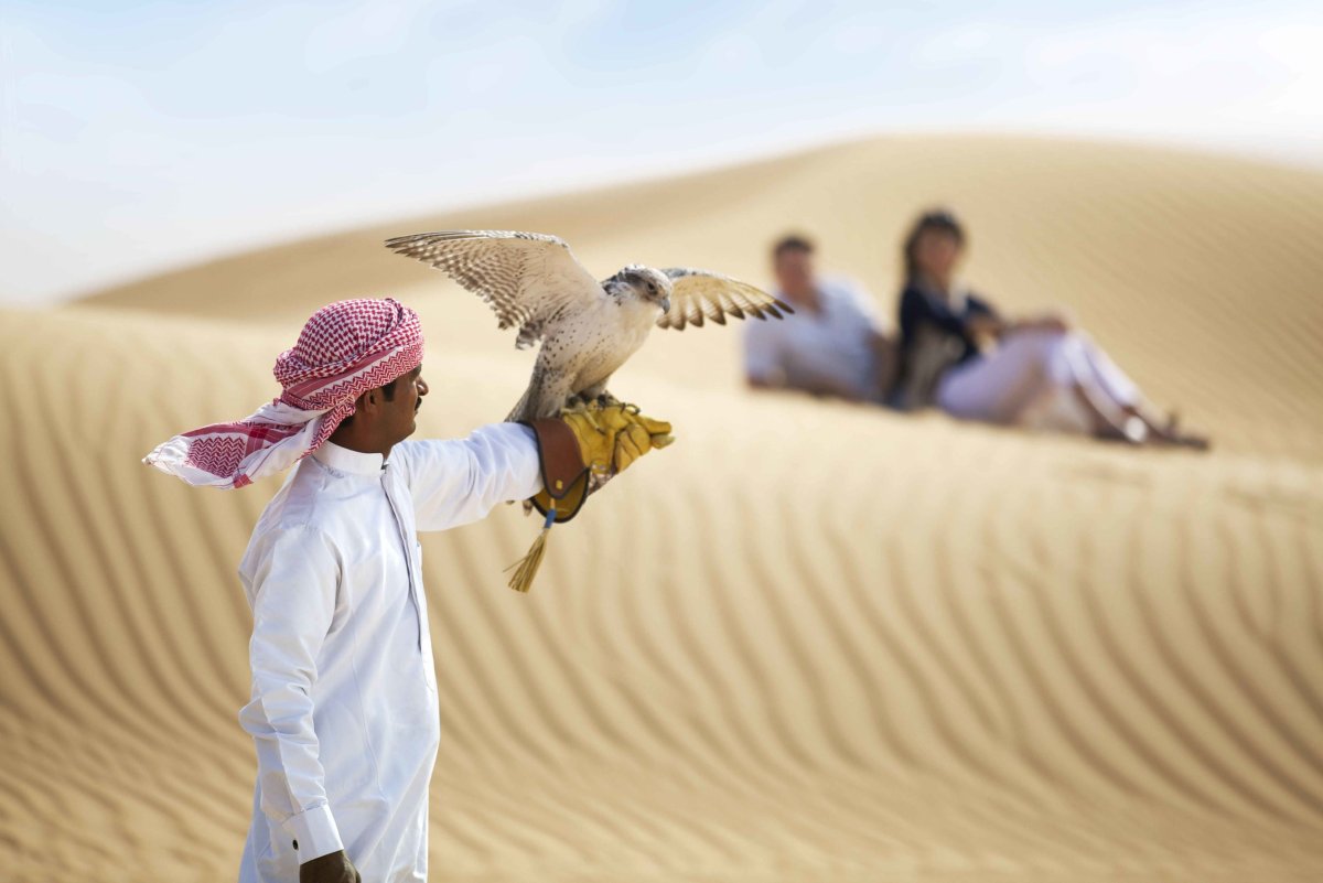 Соколиная охота в ОАЭ