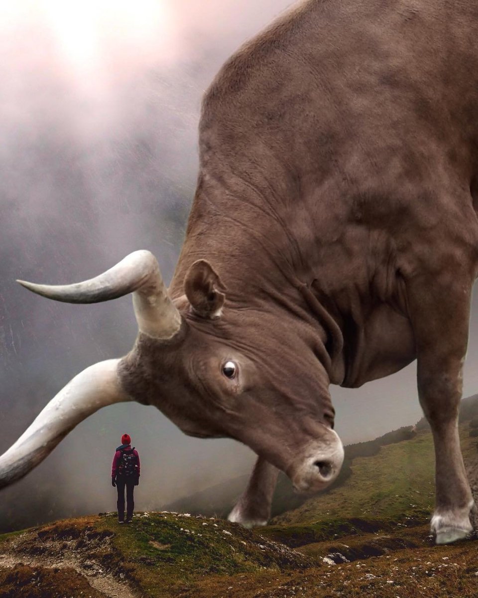 Гигантские животные