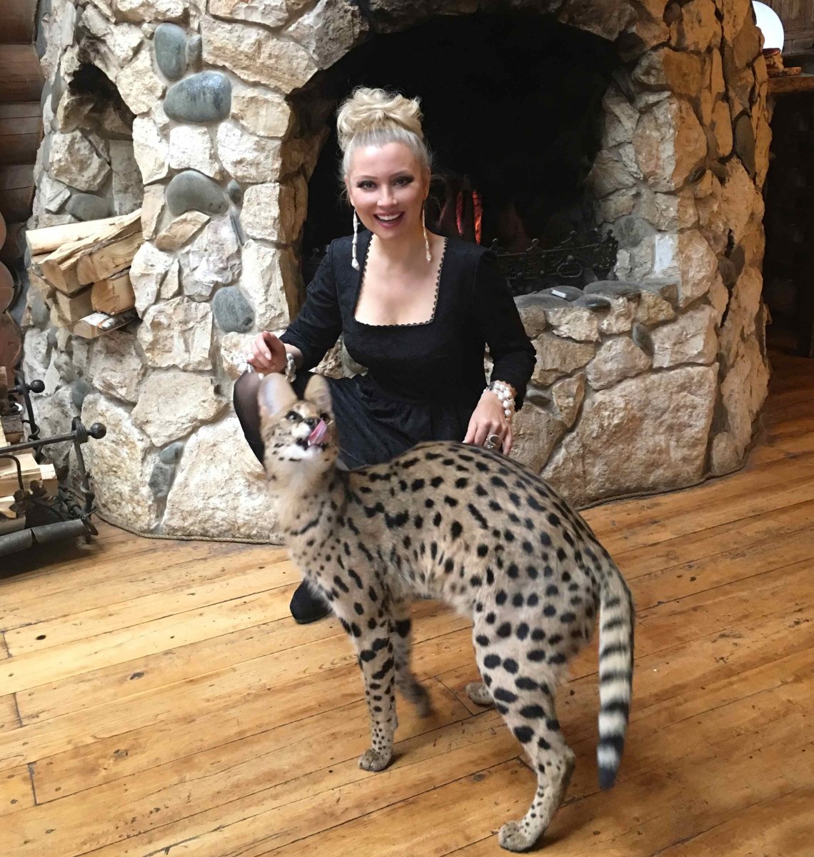 Лена Ленина крашеный котенок