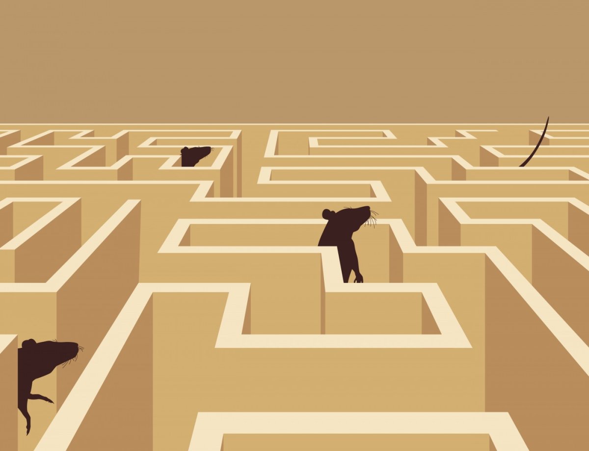 Лабиринт с мышкой