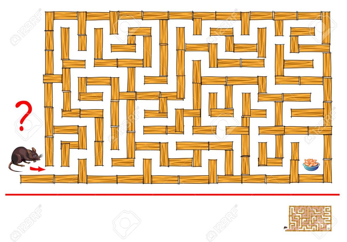 Мышь в лабиринте