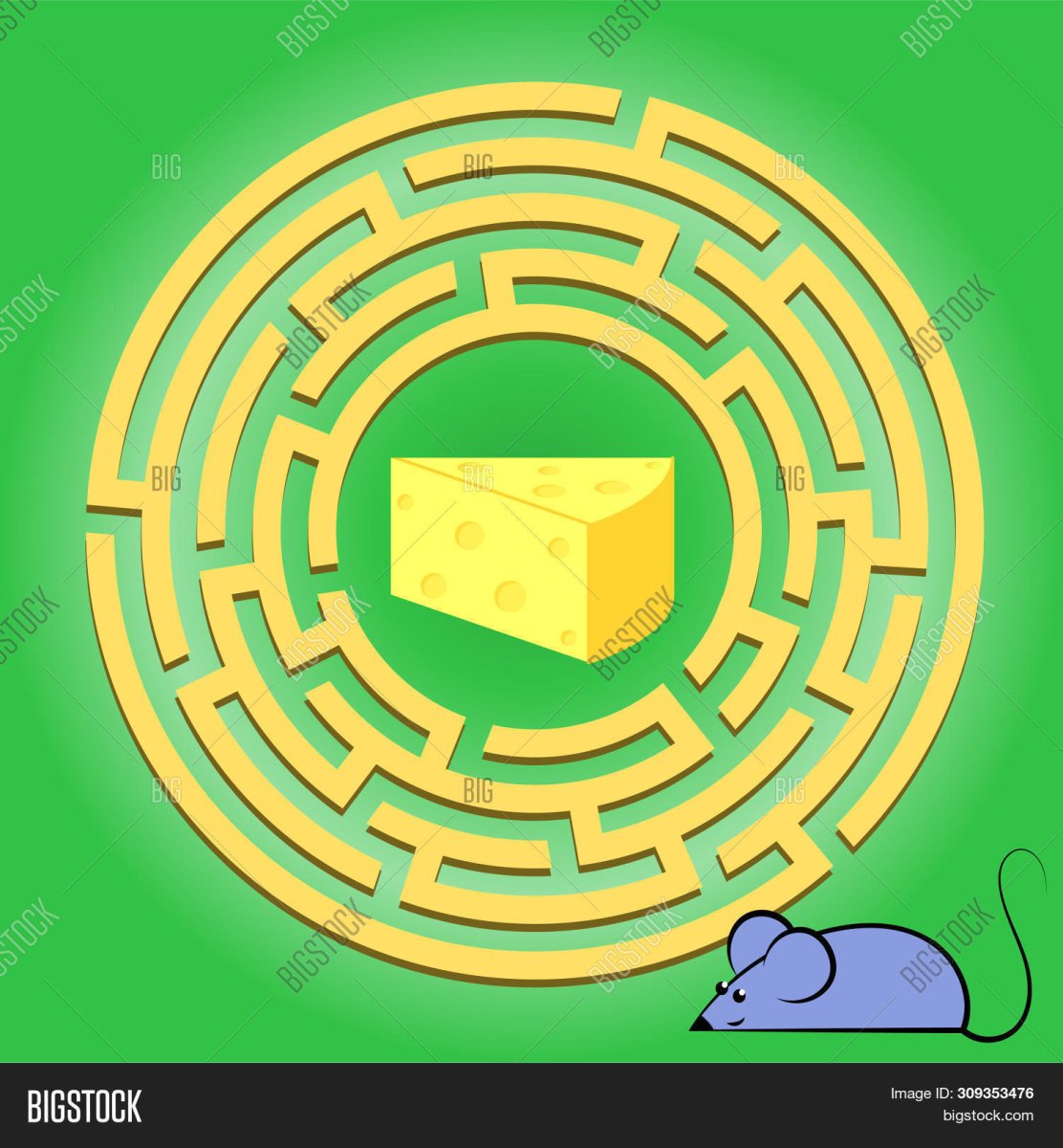 Мышь в лабиринте