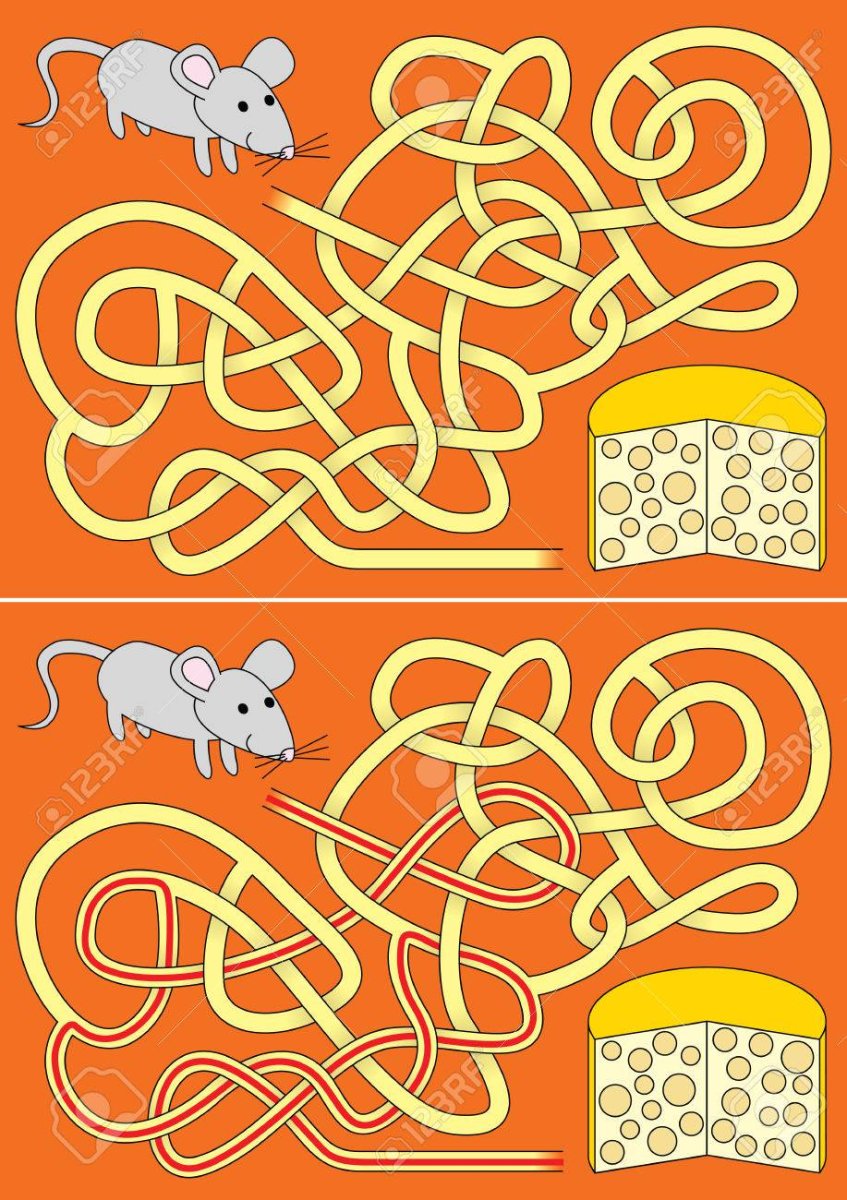 Лабиринт с мышкой