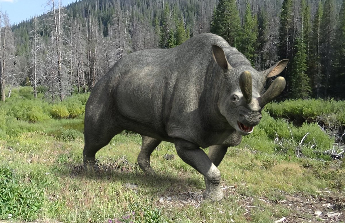 Бронтотерии вымершие непарнокопытные