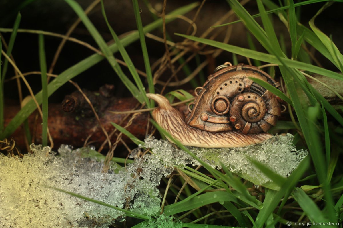 Гойда улитка