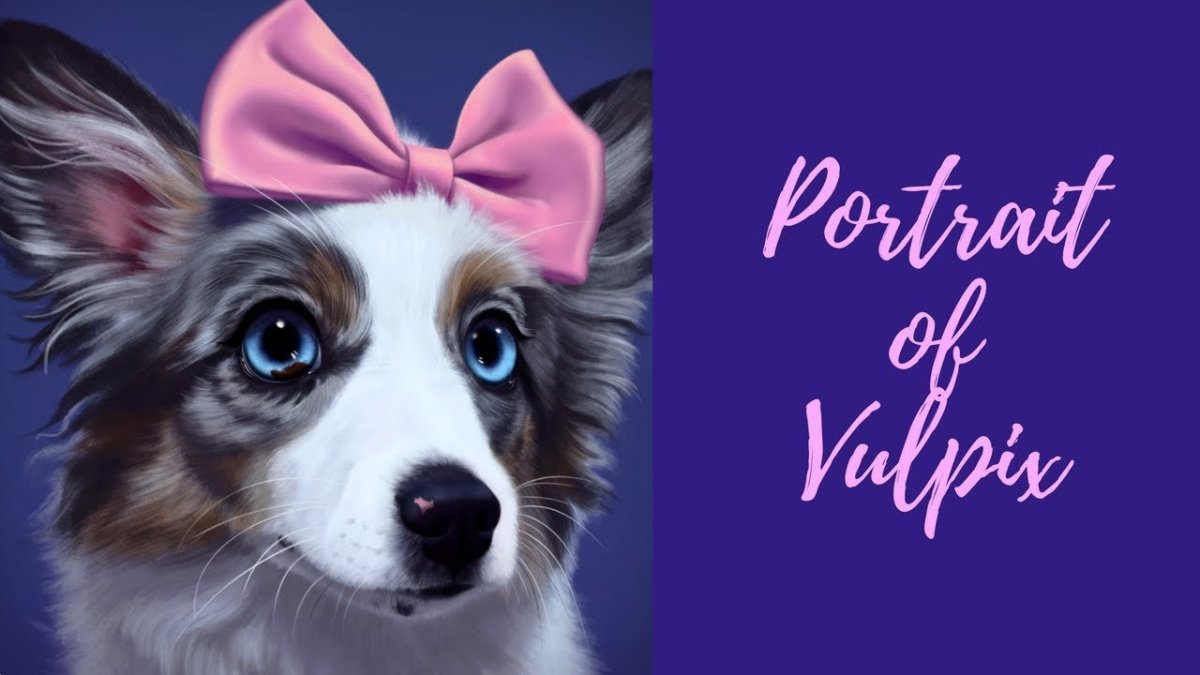 Собака с розовым бантом