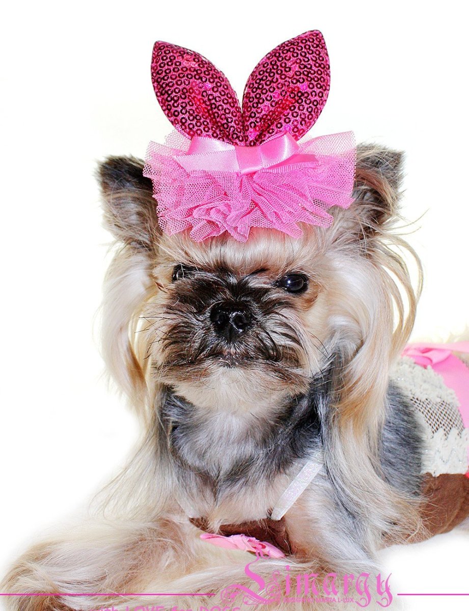 Собачка с бантиком