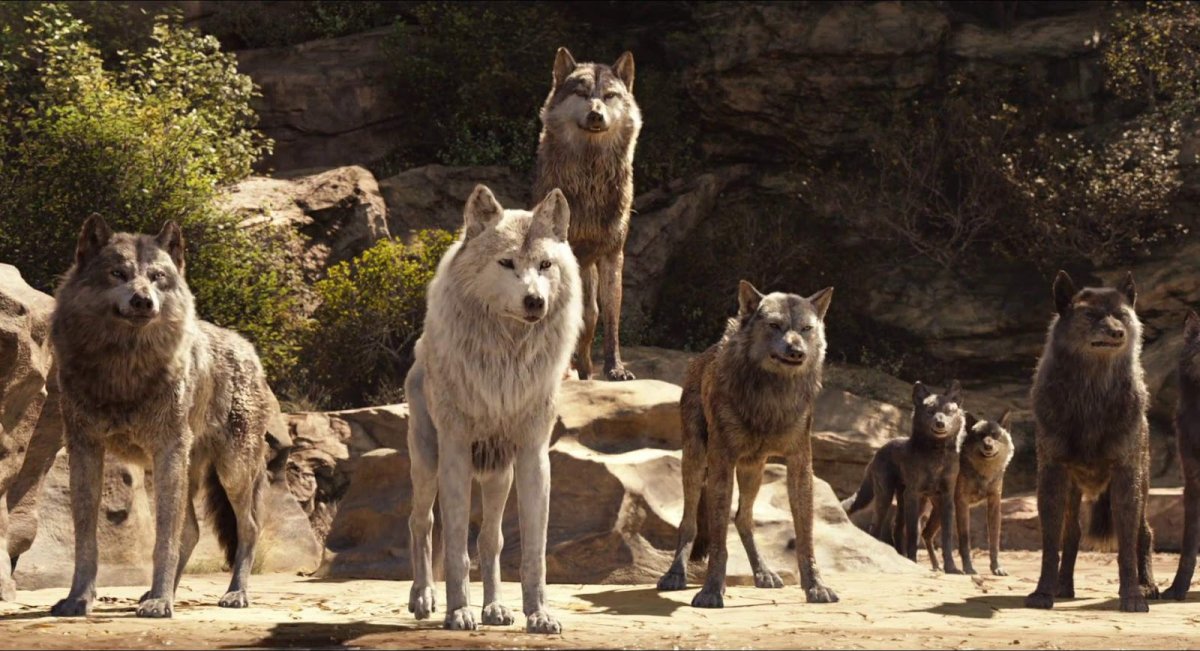 Маугли 2016 Ракша