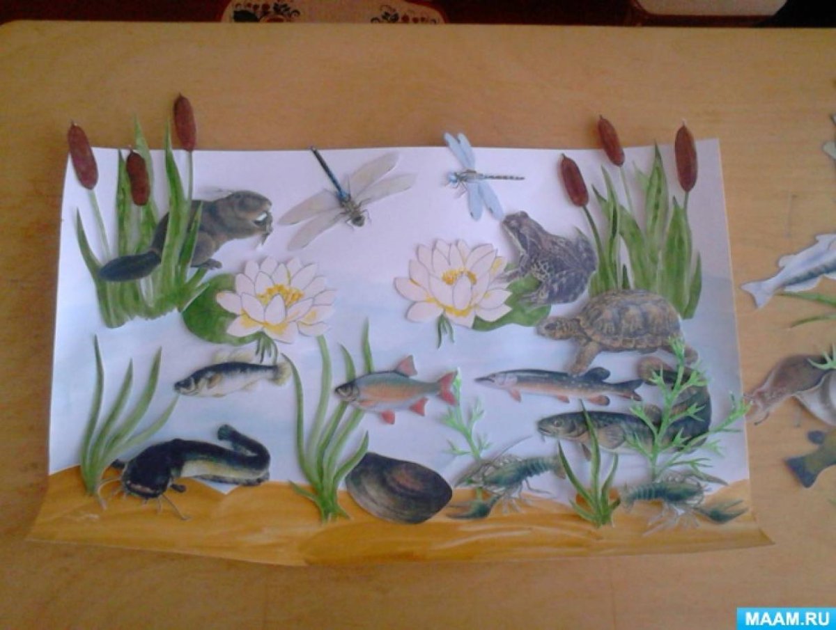 Рисование обитатели водоемов