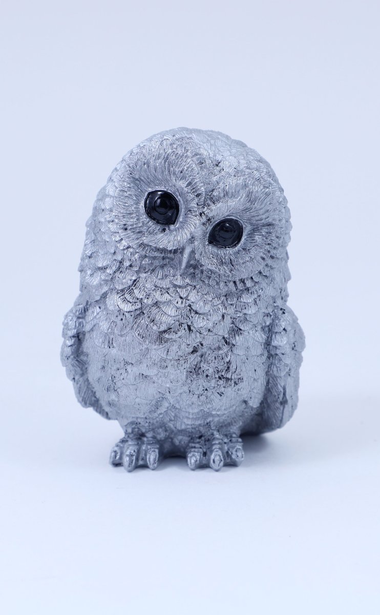 Совы Полярные