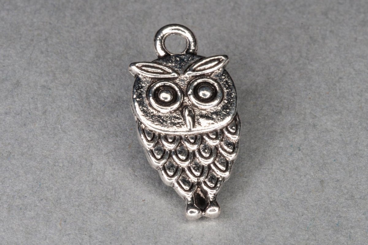 Серебряная Сова в алтыне в подарок