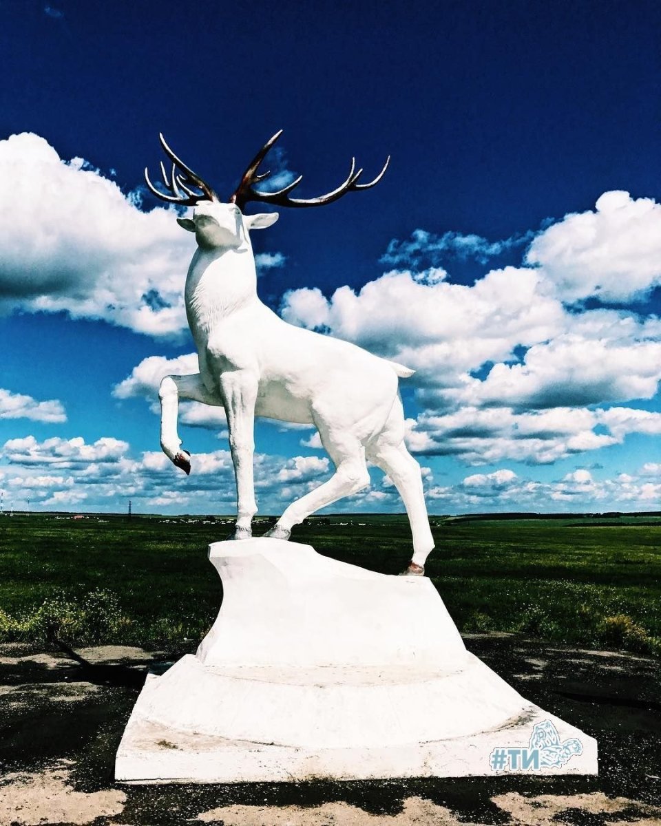 Олень Баяндаевский район