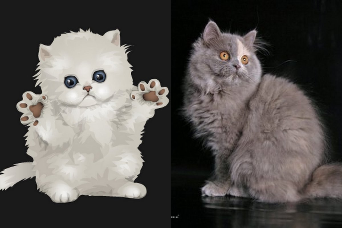 Тиффани кошка