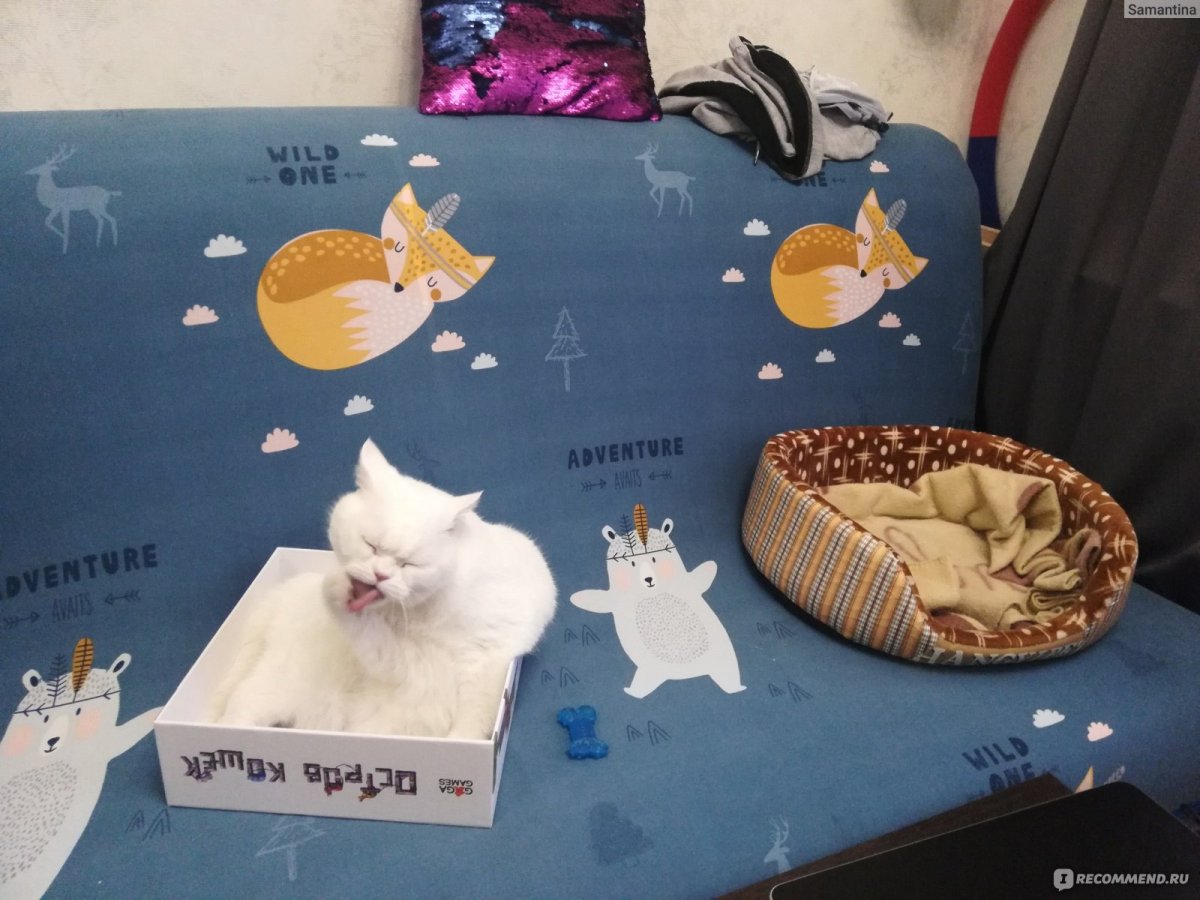 Большие кошки тактильные