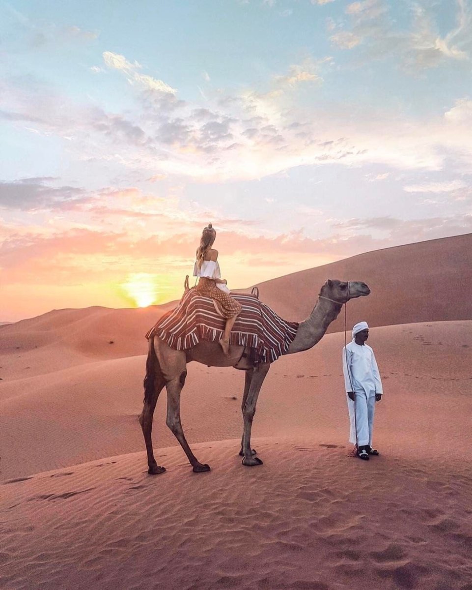 Верблюд в пустыне