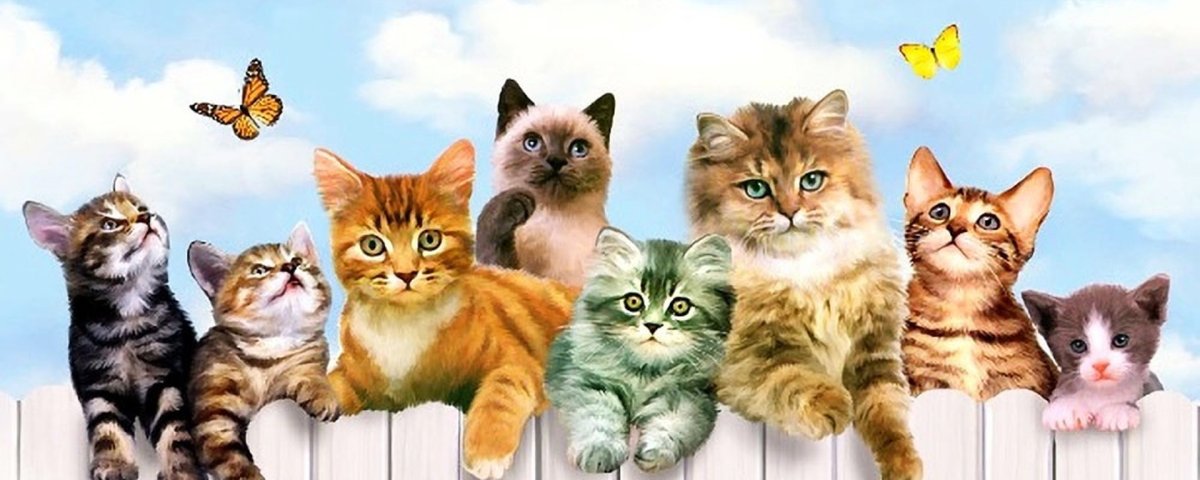 Баннер с котиками