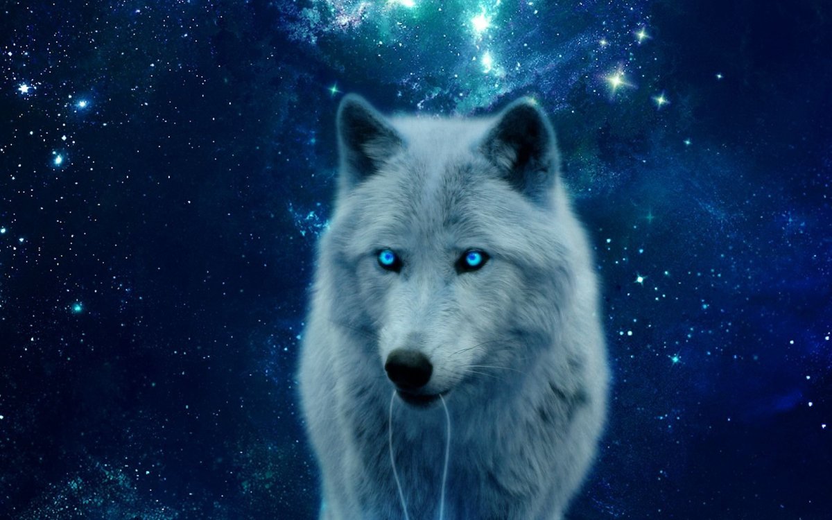 Картинки на рабочий стол волки