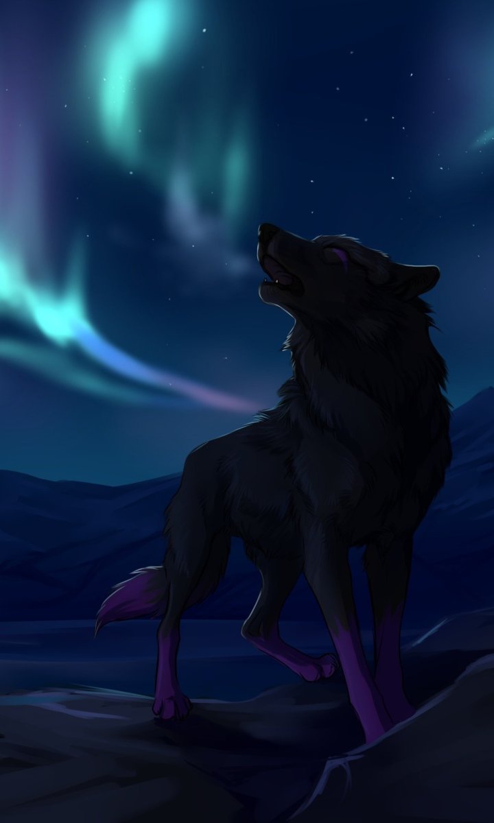 Красивый волк