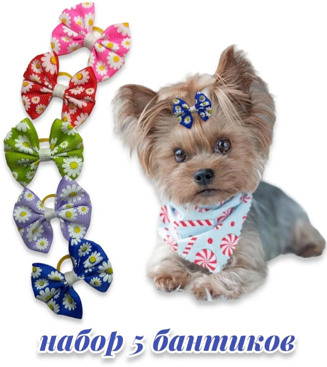 Собачка с бантиком