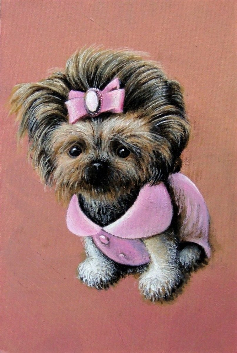 Йоркширский терьер с бантиком