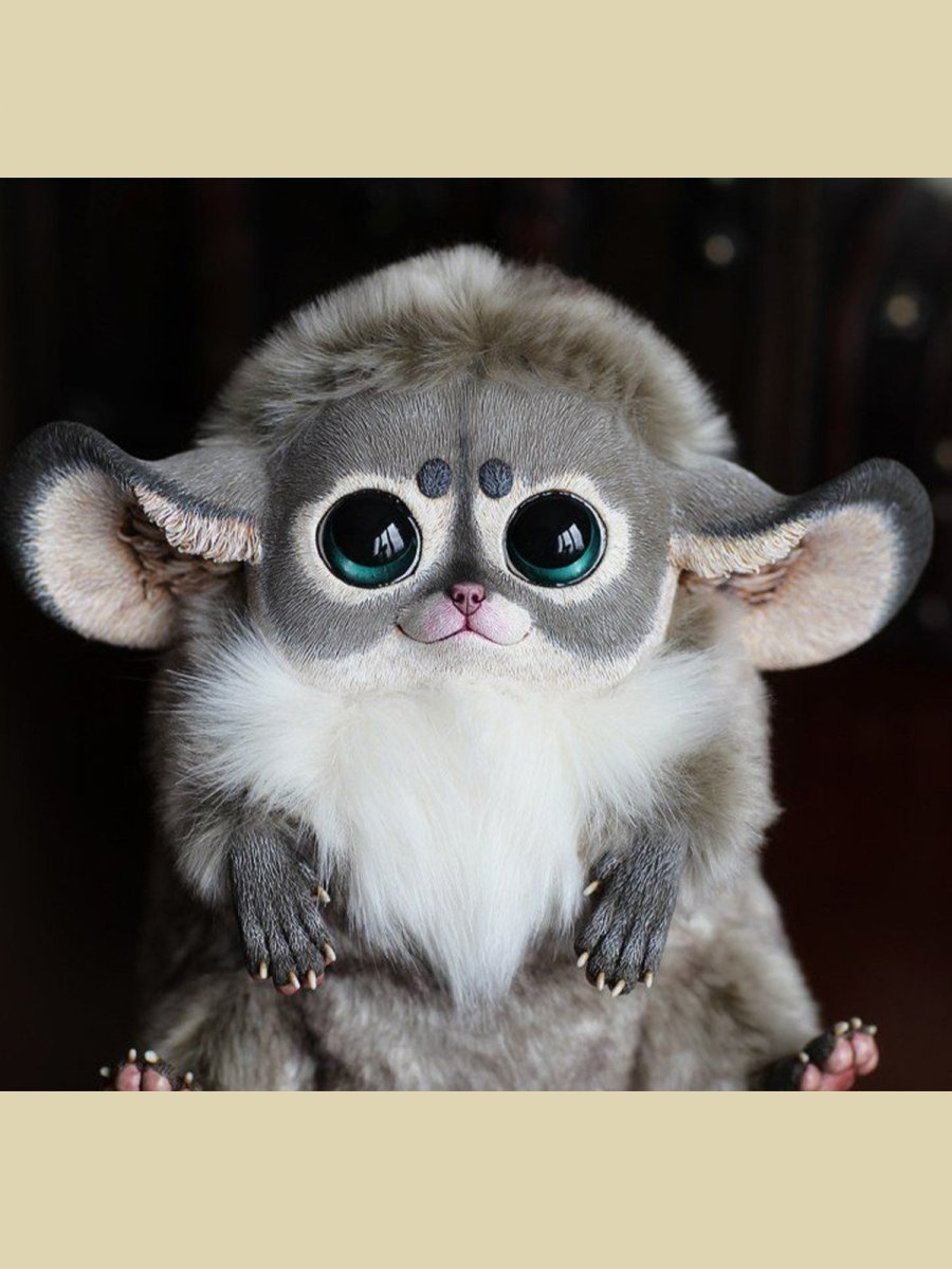 Австралийский глазоух