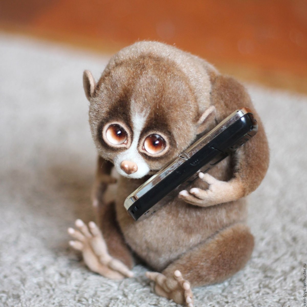 Лемур Лори домашний