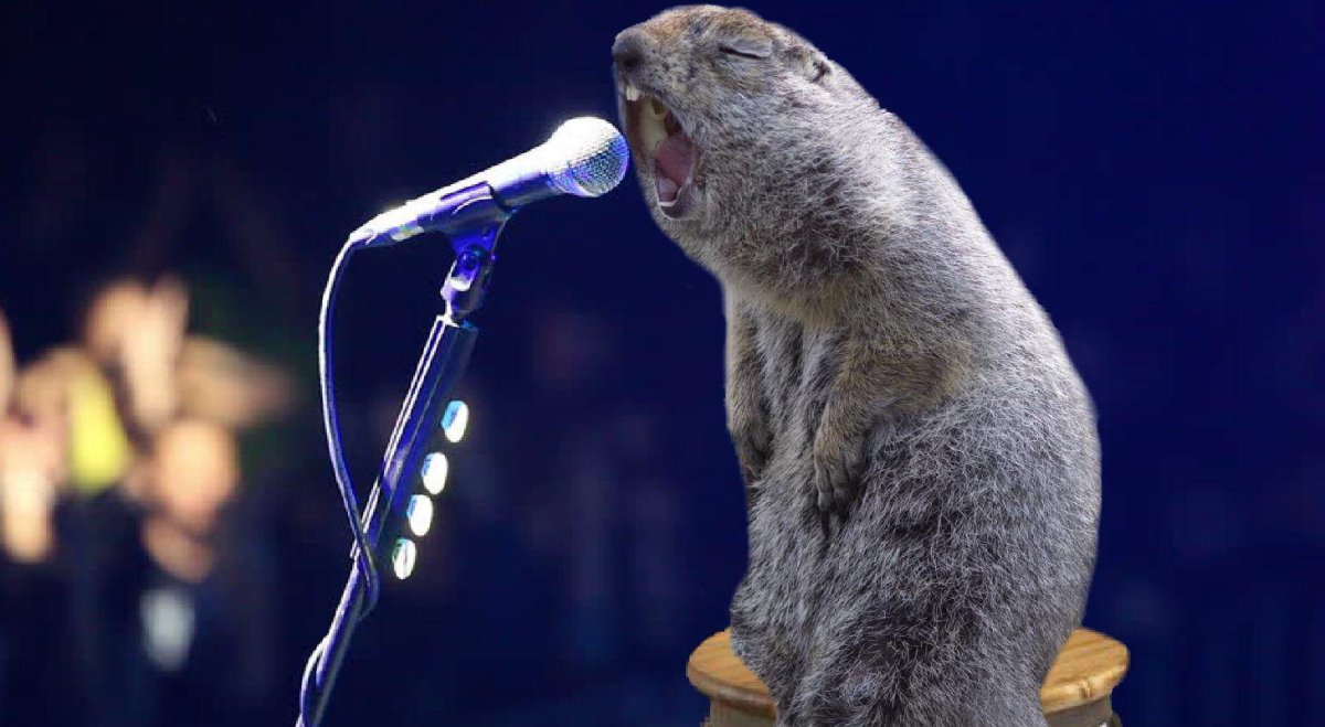 Поющие бобры