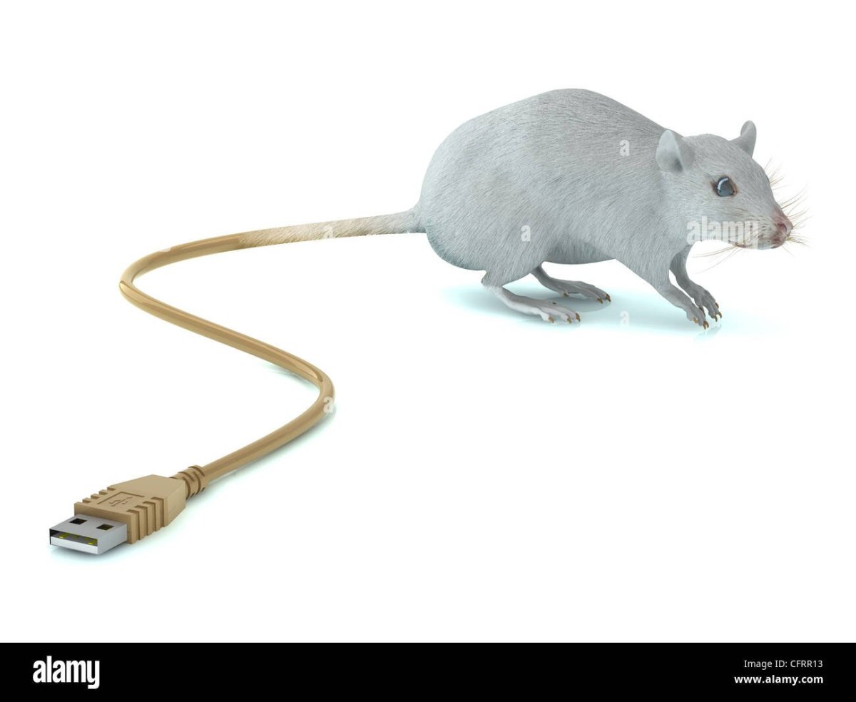 Хвостик мышки