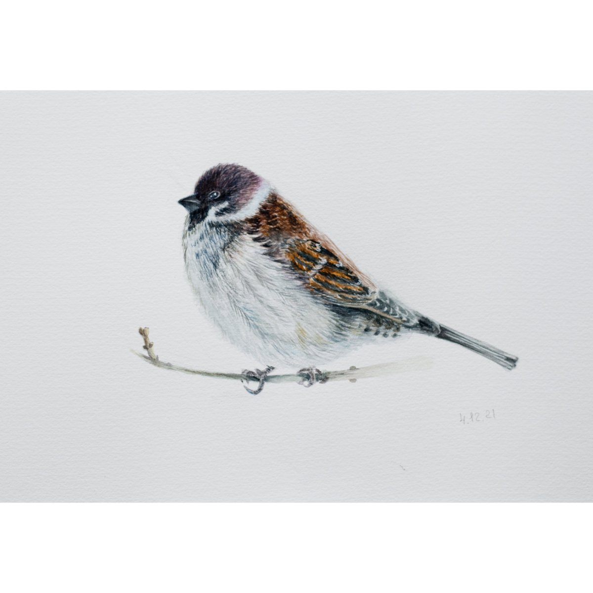 Интерьерная картину с Воробьем