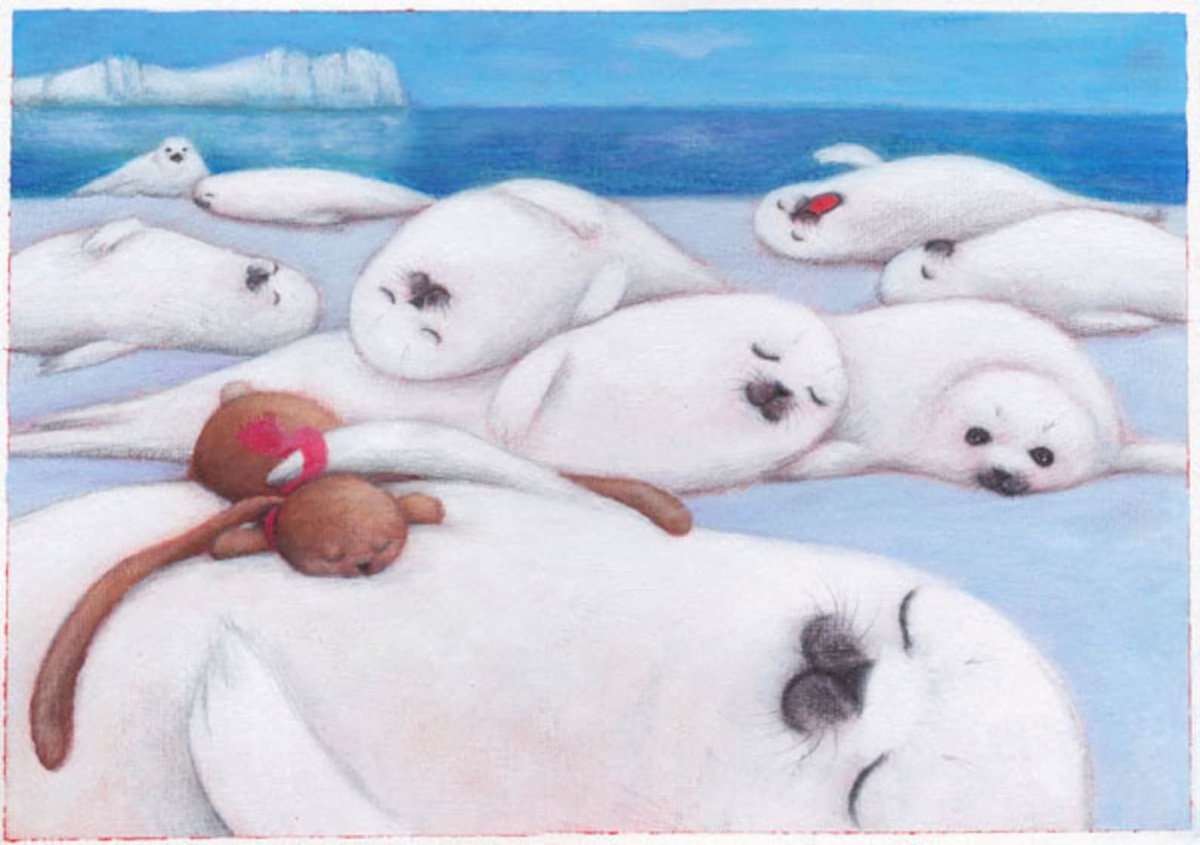 Тюлененок Белек спит