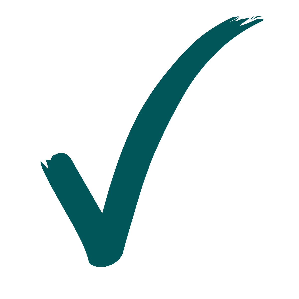 Пиктограмма галочка