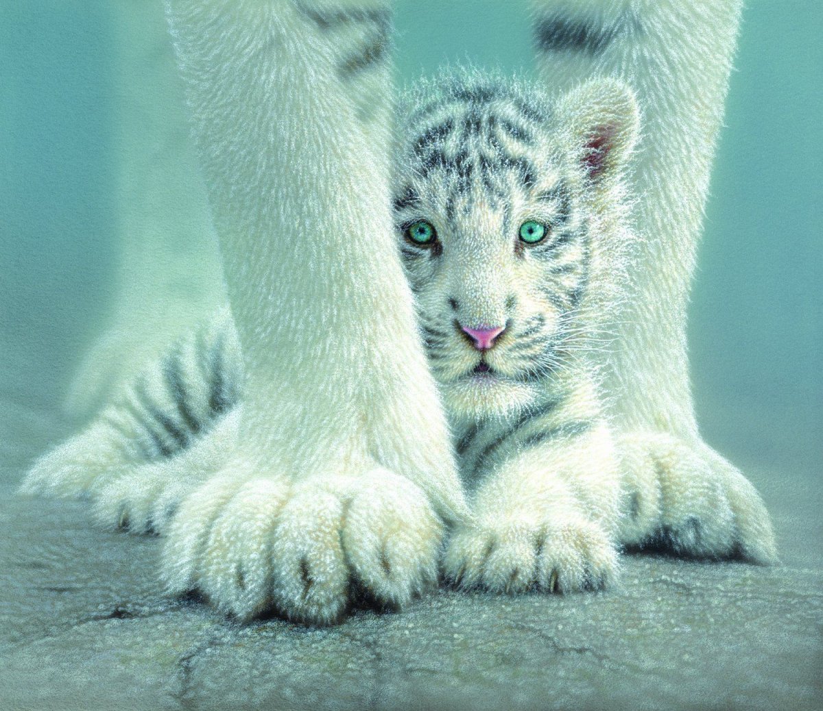 Коллин Богл художник белый тигр