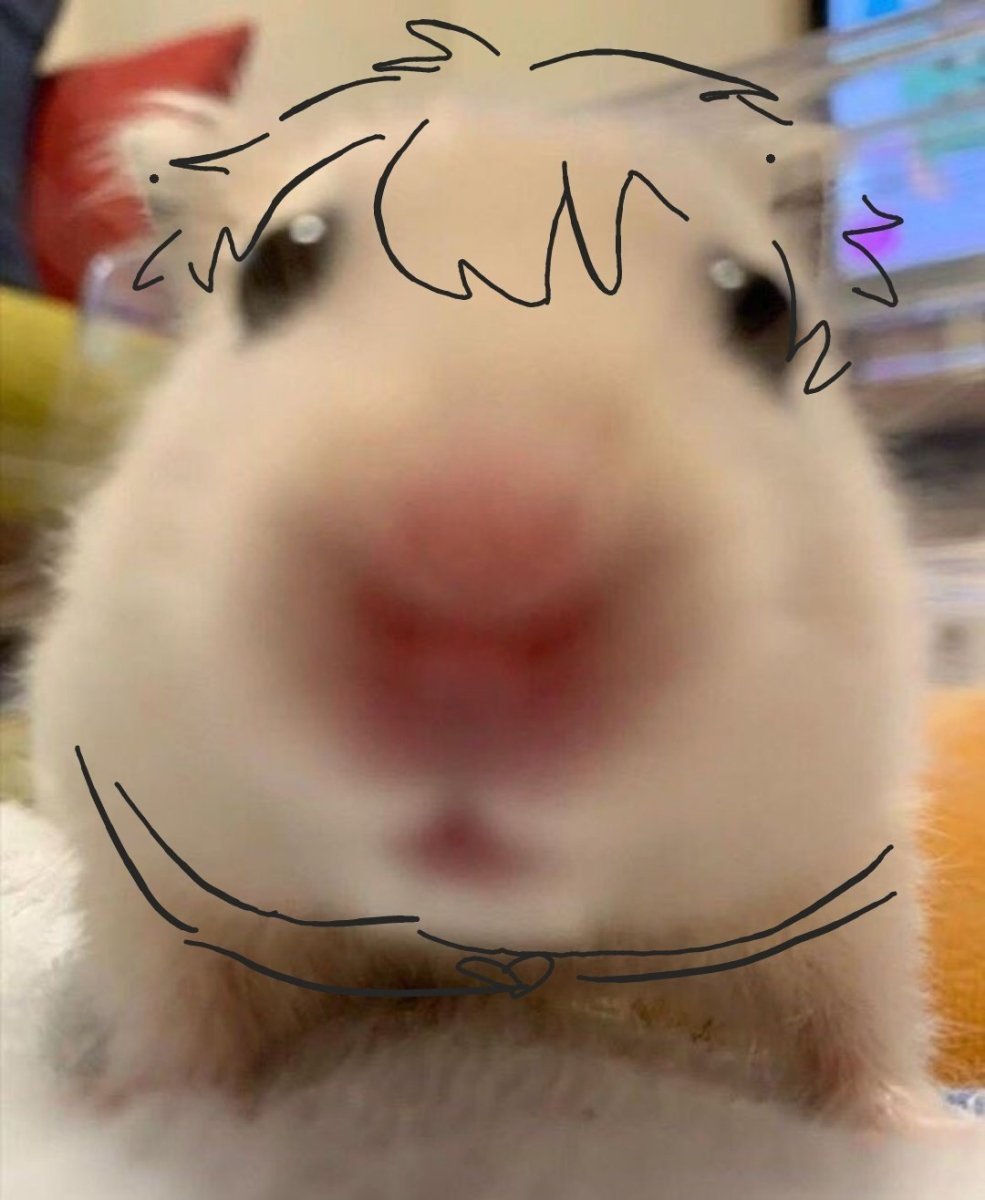 Ржачные хомяки