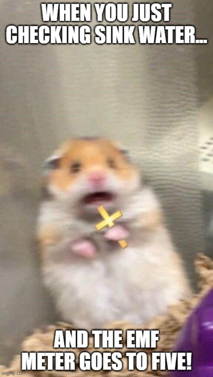 Хомяк пугается