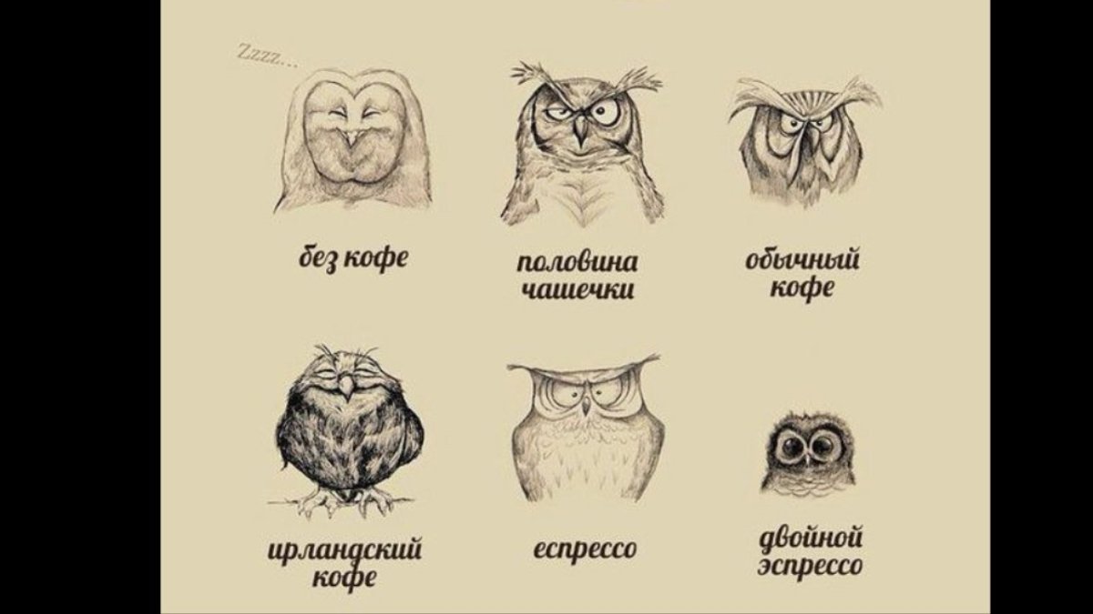 Фразы про сову