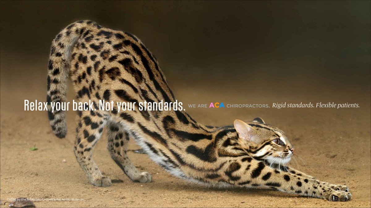 Леопардовая Грация кошки