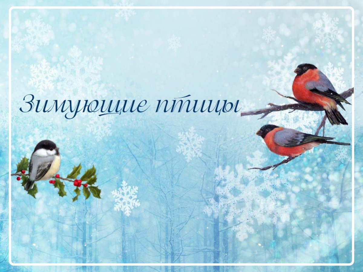 Фон для презентации зимующие птицы