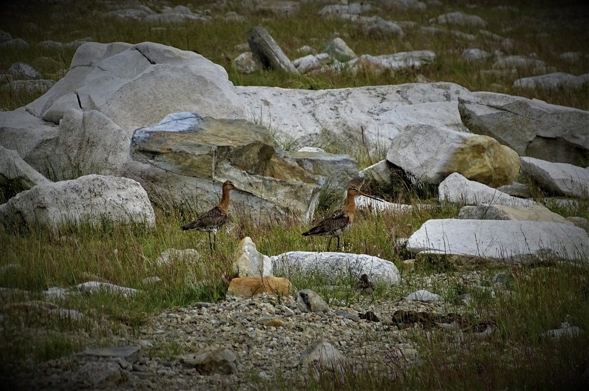 Музей «природа Южного Прибайкалья»
