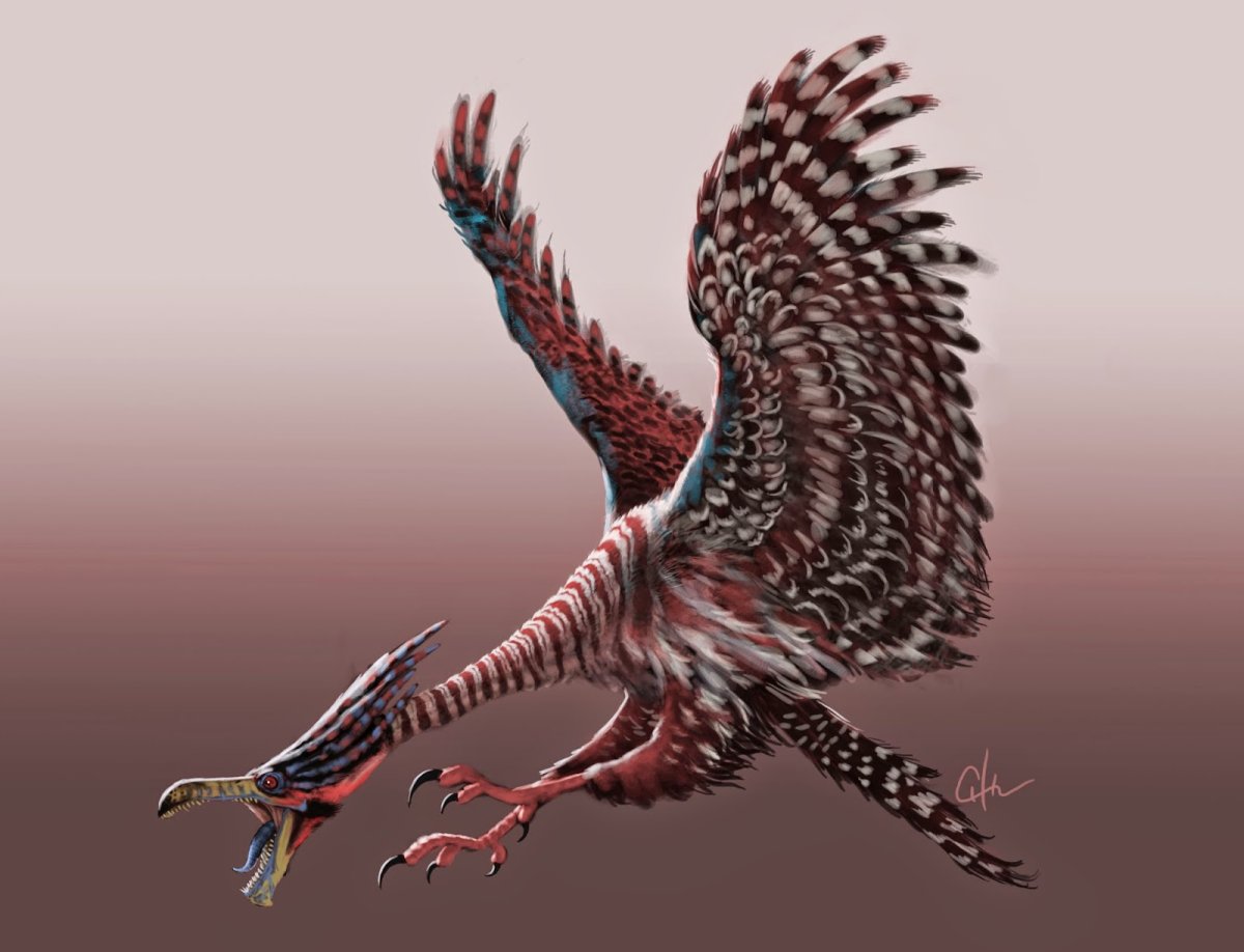 Птица монстр