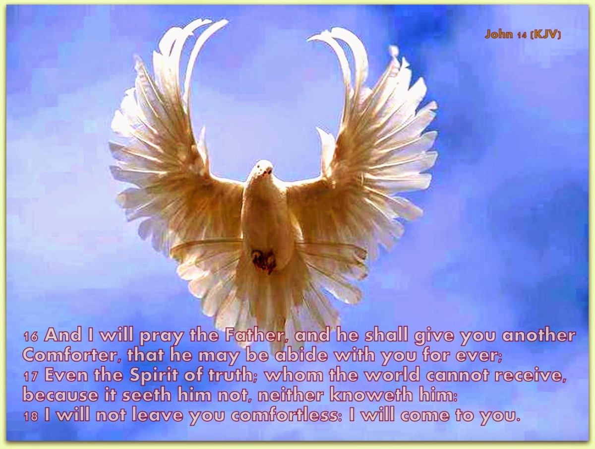 Голубь с расправленными крыльями