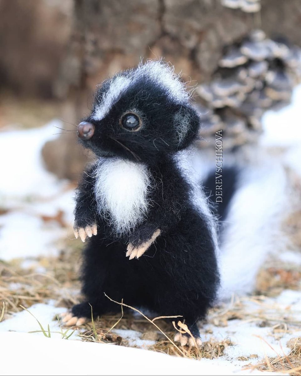 Южноамериканский скунс