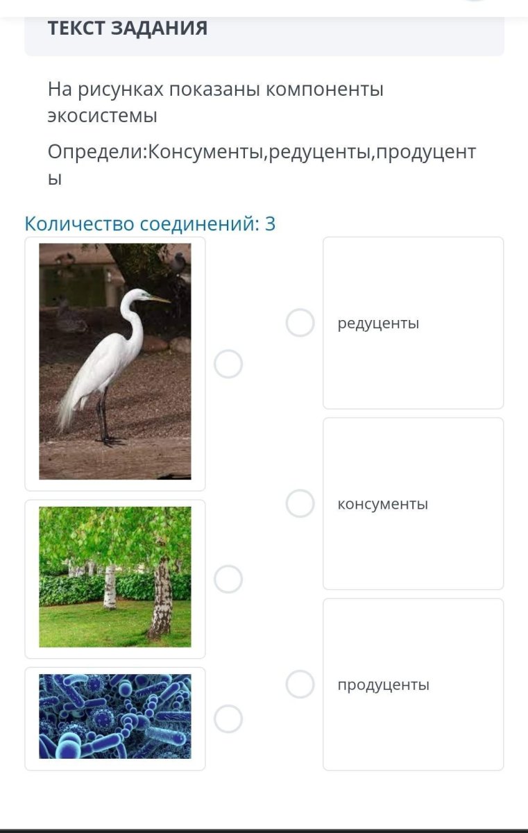 Укажите компоненты экосистемы продуценты консументы редуценты